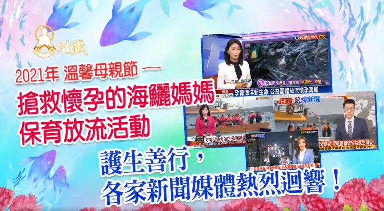 搶救懷孕的海鱺媽媽─感恩東森、民視、非凡等各大新聞媒體與報章雜誌熱烈報導！