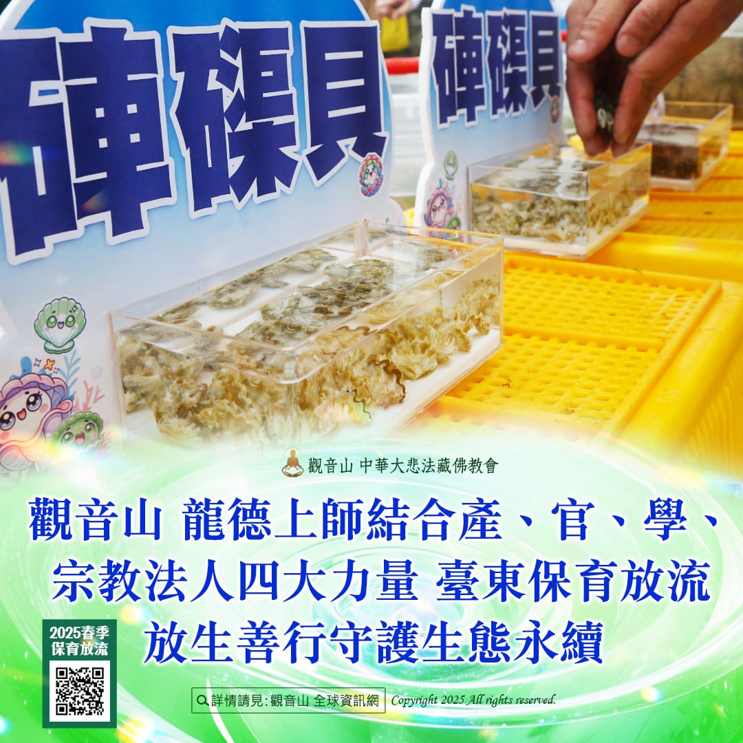 哪裡可以參與每月放生活動?觀音山最新2025放生活動訊息!