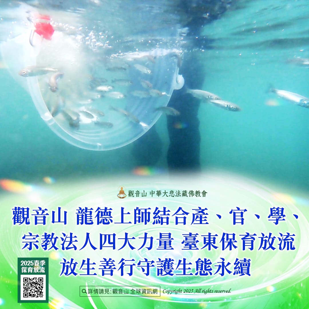 哪裡可以參與每月放生活動?觀音山最新2025放生活動訊息!