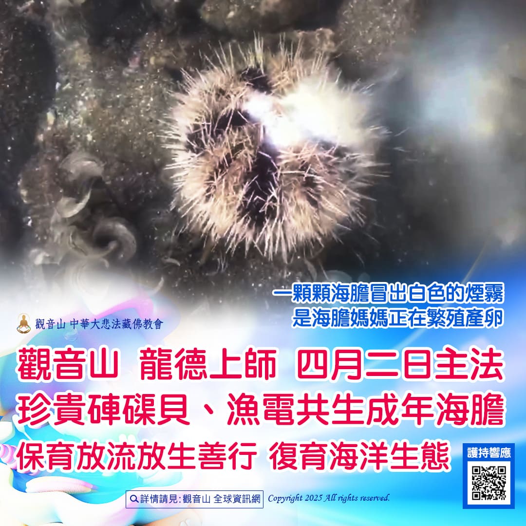 哪裡可以參與每月放生活動?觀音山最新2025放生活動訊息!