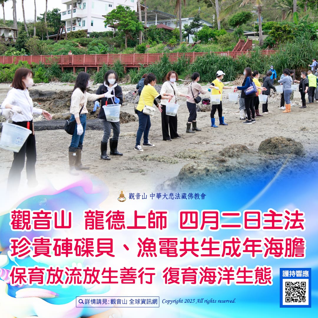 哪裡可以參與每月放生活動?觀音山最新2025放生活動訊息!