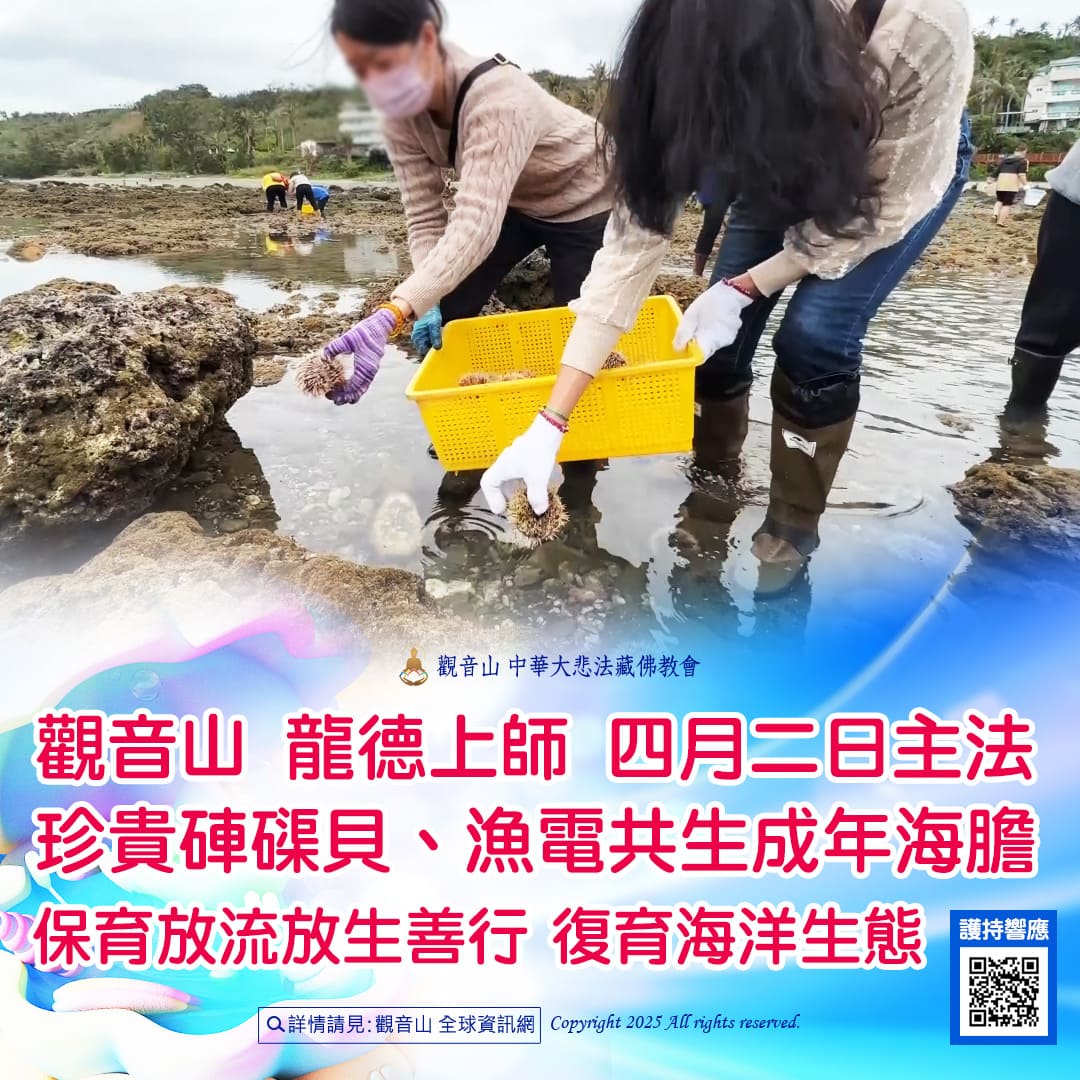 哪裡可以參與每月放生活動?觀音山最新2025放生活動訊息!
