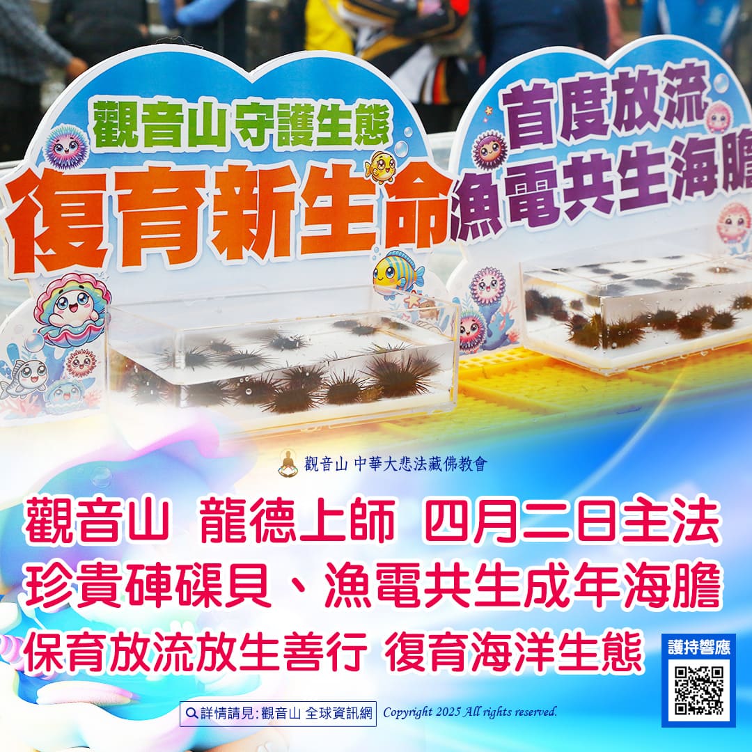 哪裡可以參與每月放生活動?觀音山最新2025放生活動訊息!