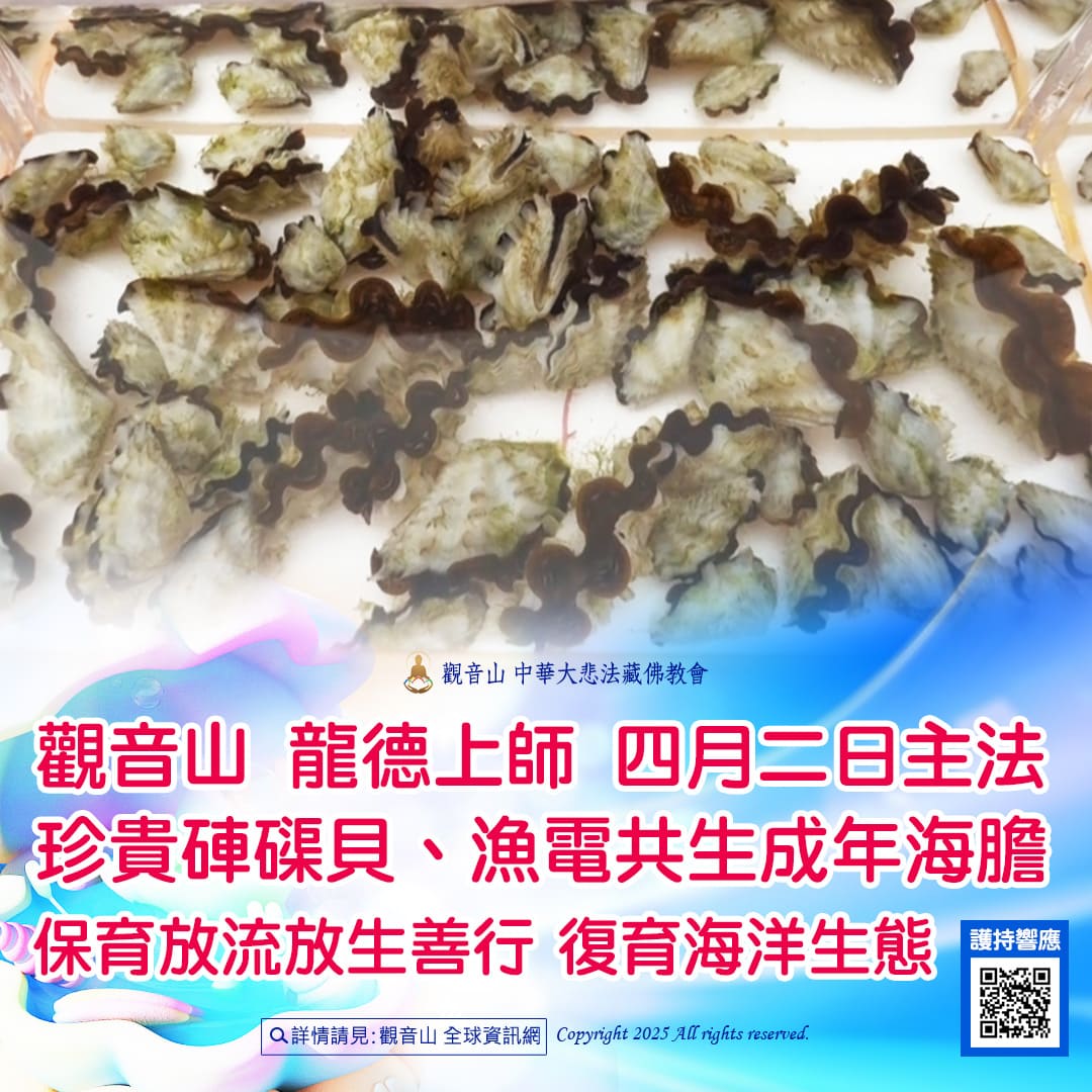 哪裡可以參與每月放生活動?觀音山最新2025放生活動訊息!