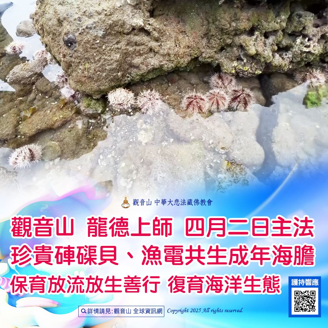 哪裡可以參與每月放生活動?觀音山最新2025放生活動訊息!