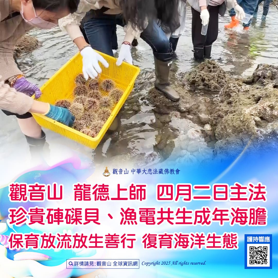 哪裡可以參與每月放生活動?觀音山最新2025放生活動訊息!