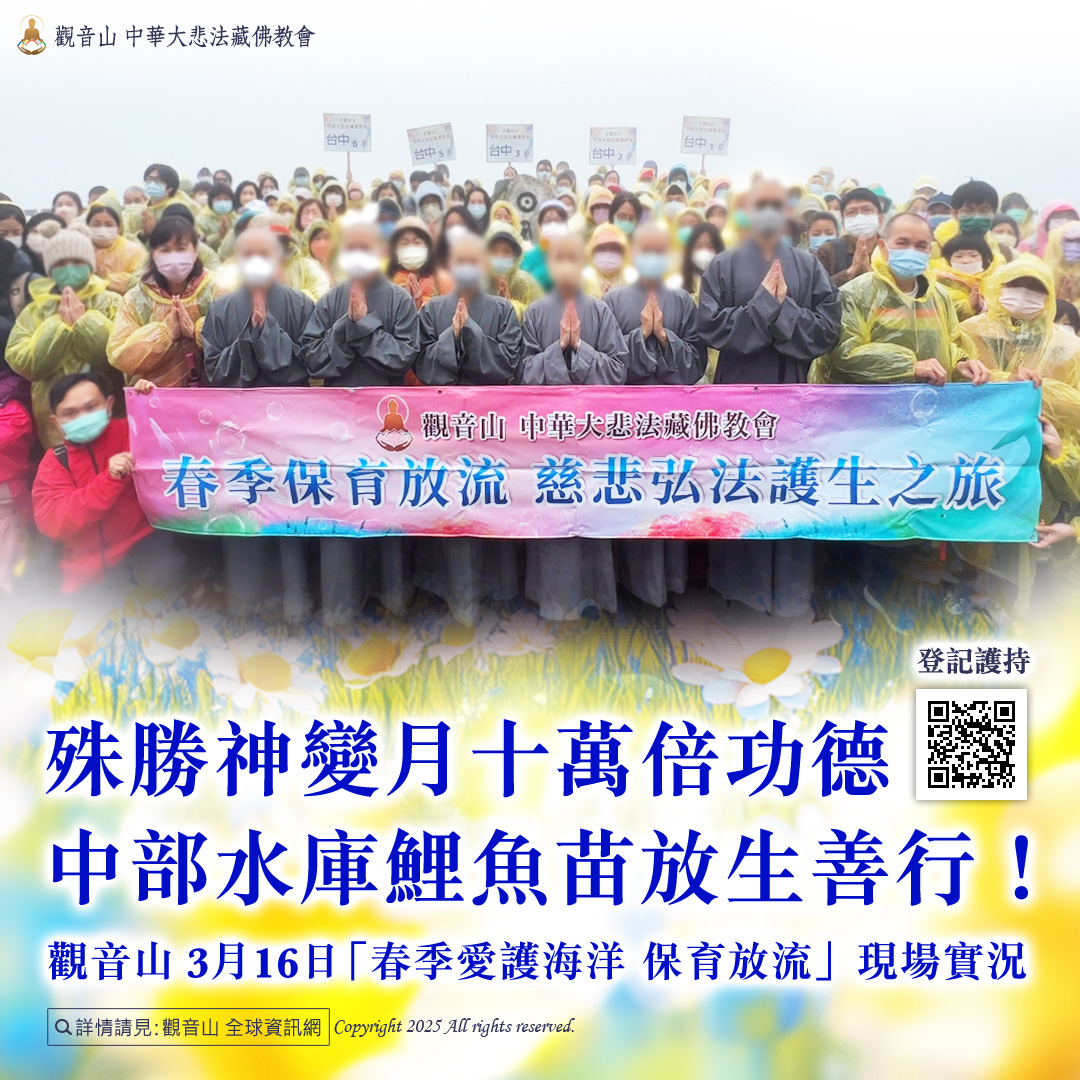 如何有效做好保育海洋生態?具體方法及案例說明!
