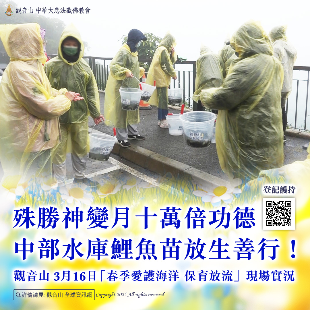 如何有效做好保育海洋生態?具體方法及案例說明!