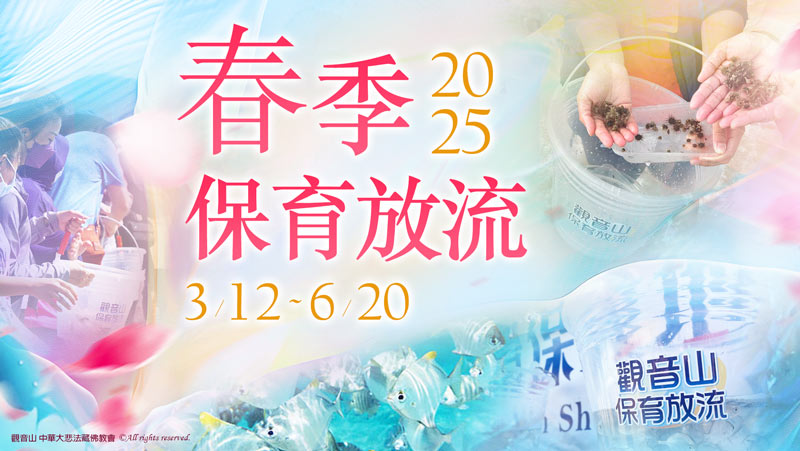 如何有效做好保育海洋生態?具體方法及案例說明!