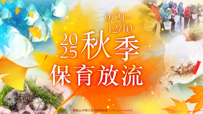 殺業為何容易短命多病且終將被殺?最佳化解殺業的方法是什麼?