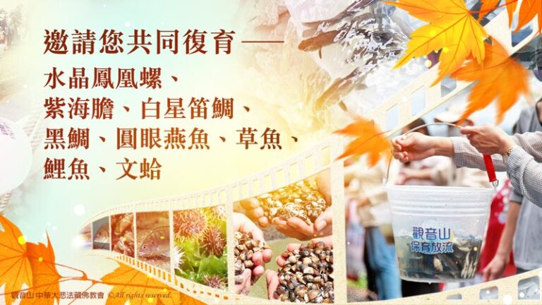 殺業為何容易短命多病且終將被殺？最佳化解殺業的方法是什麼？