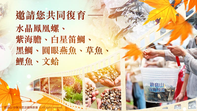 殺業為何容易短命多病且終將被殺?最佳化解殺業的方法是什麼? 殺業為何容易短命多病且終將被殺?最佳化解殺業的方法是什麼?