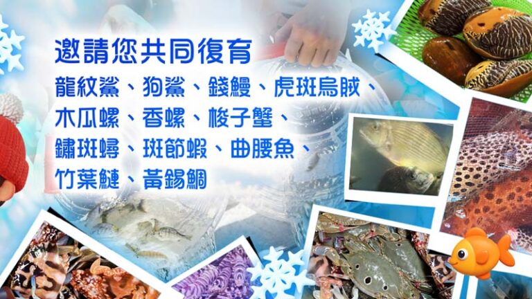 殺業為何容易短命多病且終將被殺？最佳化解殺業的方法是什麼？