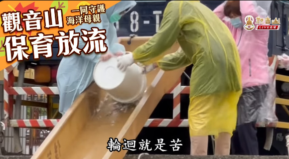 殺業為何容易短命多病且終將被殺?最佳化解殺業的方法是什麼?