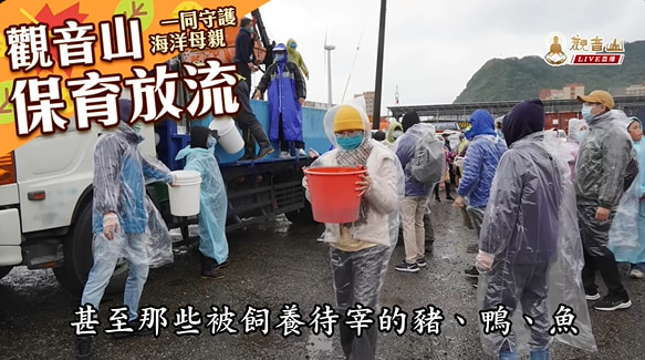 殺業為何容易短命多病且終將被殺?最佳化解殺業的方法是什麼?