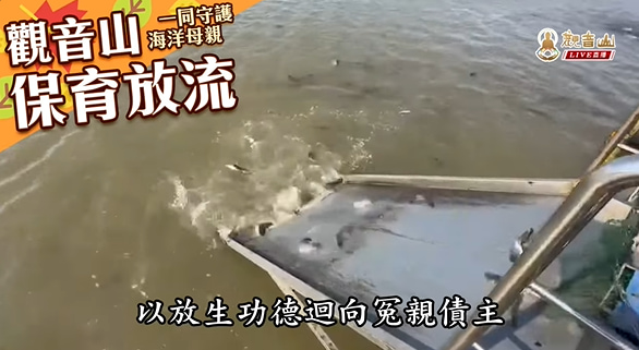 殺業為何容易短命多病且終將被殺?最佳化解殺業的方法是什麼?