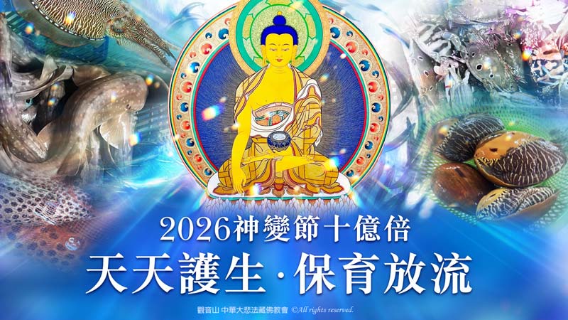 護生為何改變命運快速？3則現代護生改運的真實故事！