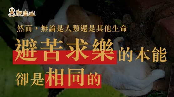 護生為何改變命運快速？3則現代護生改運的真實故事！