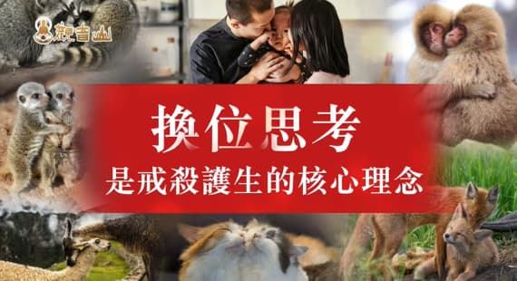 護生為何改變命運快速？3則現代護生改運的真實故事！