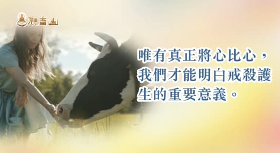 護生為何改變命運快速？3則現代護生改運的真實故事！