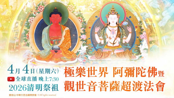 毛小孩剛走?掌握黃金 49 天「幫寵物做功德」全指南:如何讓毛孩走得更安詳!