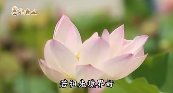 倒房祖先的意思?倒房祖先對後代的影響是什麼?如何有效處理倒房祖先問題!