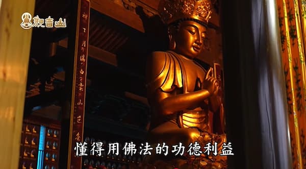 毛小孩剛走?掌握黃金 49 天「幫寵物做功德」全指南:如何讓毛孩走得更安詳!