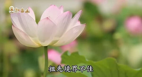 為什麼要超渡迴向歷代祖先？一篇看懂如何透過正確迴向翻轉家族運勢！