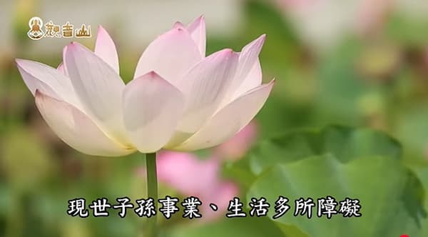 為什麼要超渡迴向歷代祖先？一篇看懂如何透過正確迴向翻轉家族運勢！