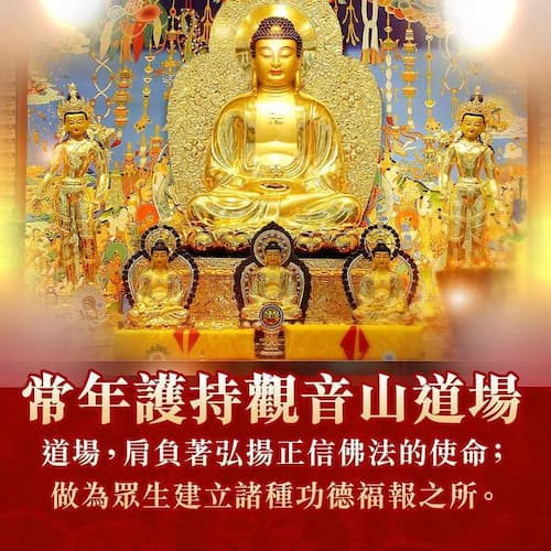 學佛零距離!「龍德上師直播」線上共修指南:一鍵開啟您的清淨修行路