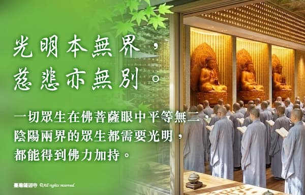 寵物光明燈怎麼點?毛孩個性驟變、醫學無解必看:看懂「寵物點燈」4 大功德與登記指南,為愛犬愛貓照亮平安順遂!