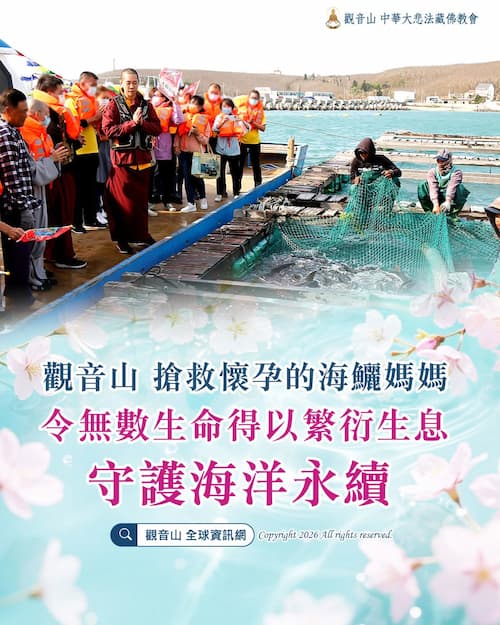 為什麼禁捕抱卵母蟹？吃了會怎樣？看懂「抱卵母蟹禁捕期」與放生功德，以慈悲護生改變命運！