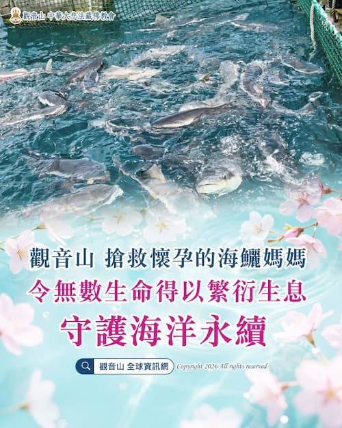 為什麼禁捕抱卵母蟹？吃了會怎樣？看懂「抱卵母蟹禁捕期」與放生功德，以慈悲護生改變命運！