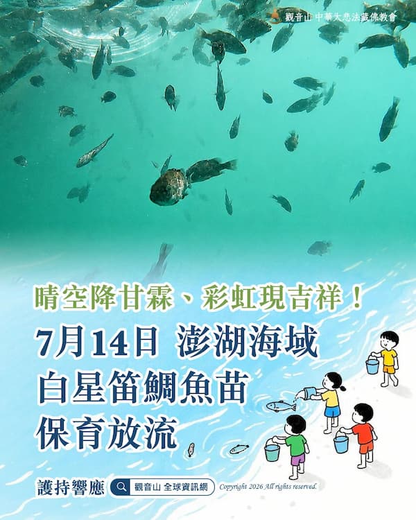 【放生消業障全指南】如何正確放生累積福報?觀音山科學護生帶您快速轉運!